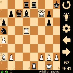 Chess Puzzles